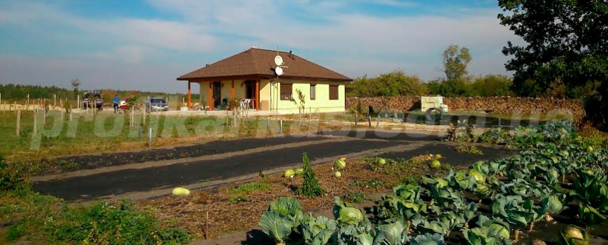 пример земельного надела и одноэтажного каркасного дома на нем