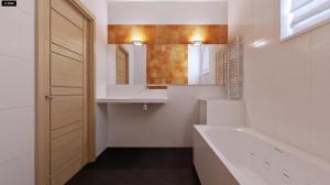 Z204 интерьер 3