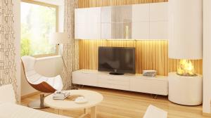 Z40 интерьер 2