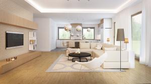 Z301 интерьер 17